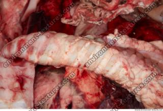 RAW meat pork viscera 0081